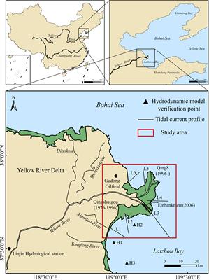 Evolution of tidal flats in the Yellow River Qingshuigou sub-delta: spatiotemporal analysis and mechanistic changes (1996-2021)